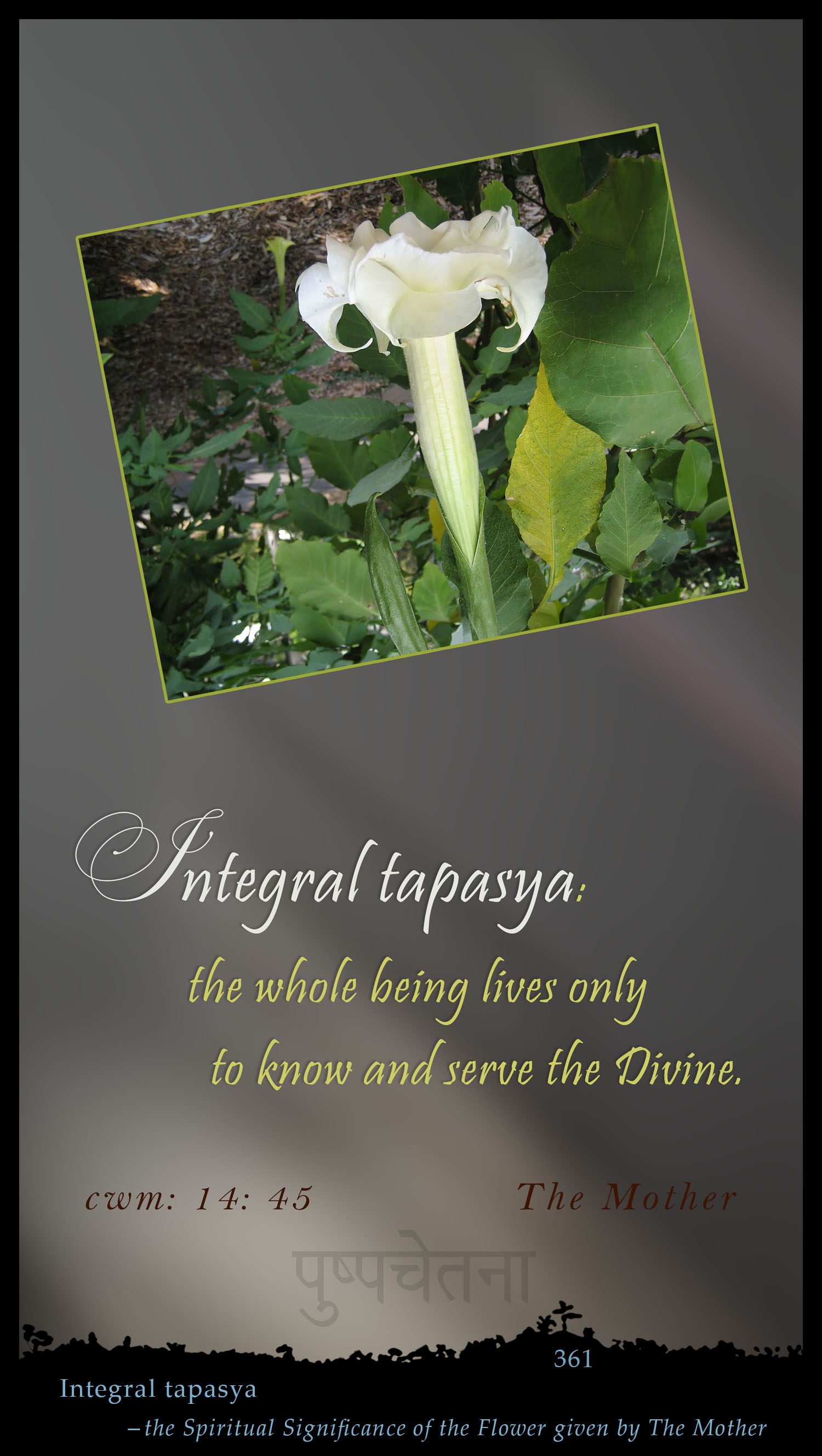 Integral Tapasya